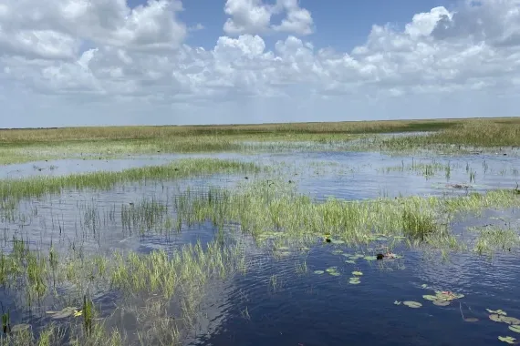 Enviromental Studies - Geohydrology, BS