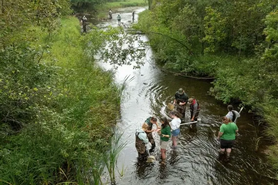 Aquatic Biology - Wetlands Ecology, BS